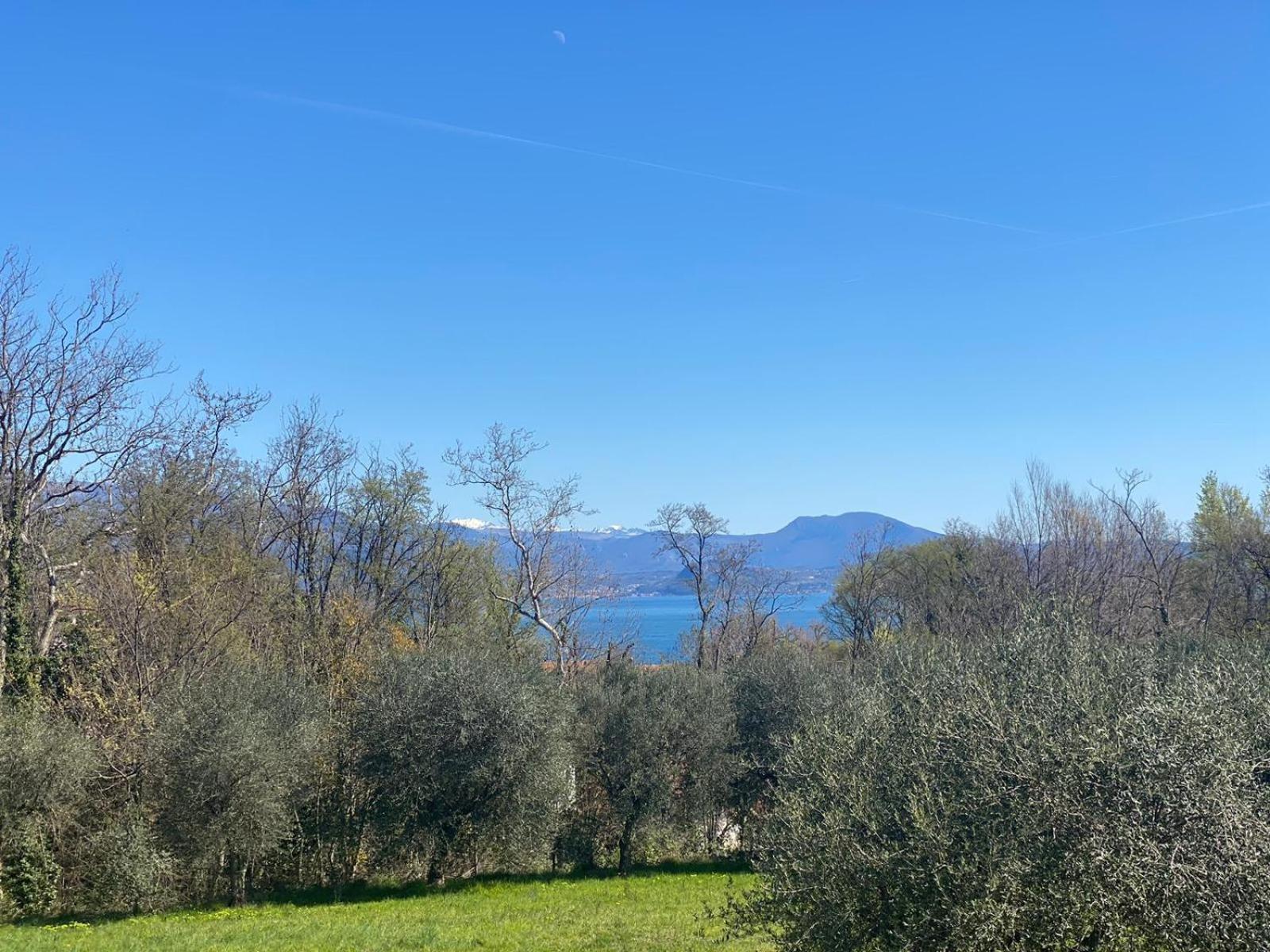 The Flowers - Apartments With Private Garden In Residence With Pool Manerba del Garda Exteriör bild